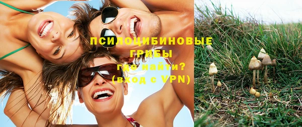 первитин Балахна