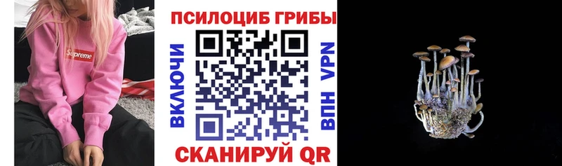 Псилоцибиновые грибы прущие грибы  мега ссылка  Киренск  продажа наркотиков 
